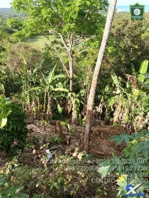 Chácara à venda – Linha C01, sentido Humaitá (Km 12) 🌿