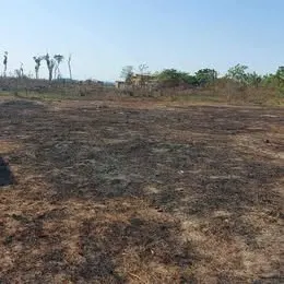 Três Terrenos no outro lado do Rio Madeira