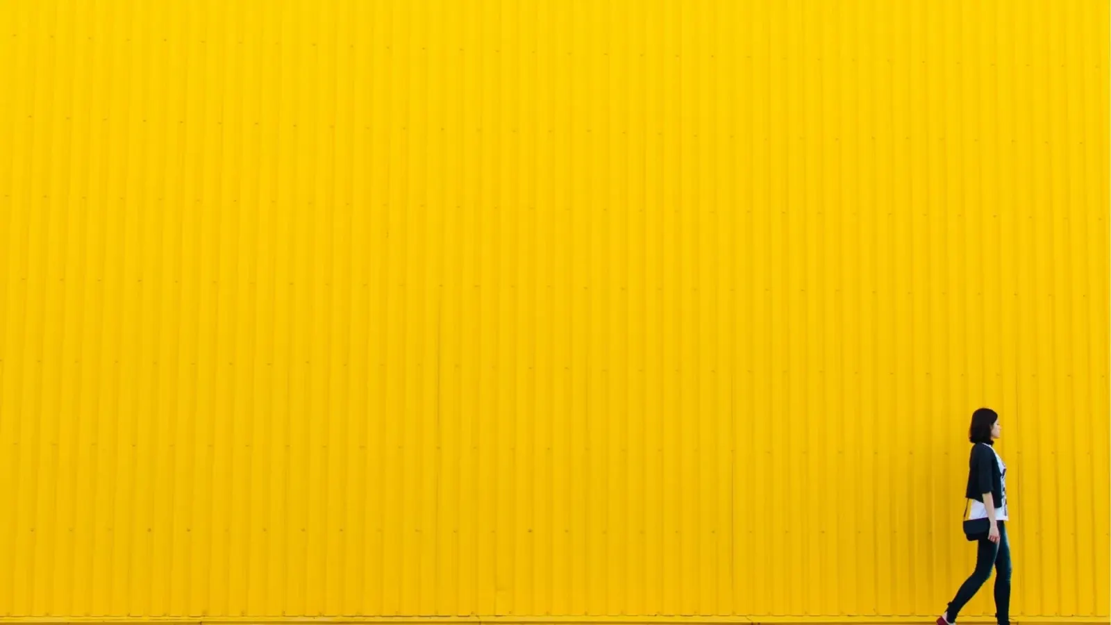 O Lado Comum da Vida