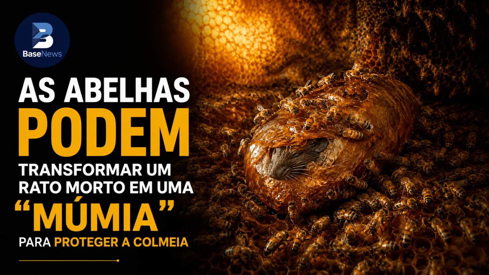 As abelhas podem transformar um rato morto em uma “múmia” para proteger a colmeia