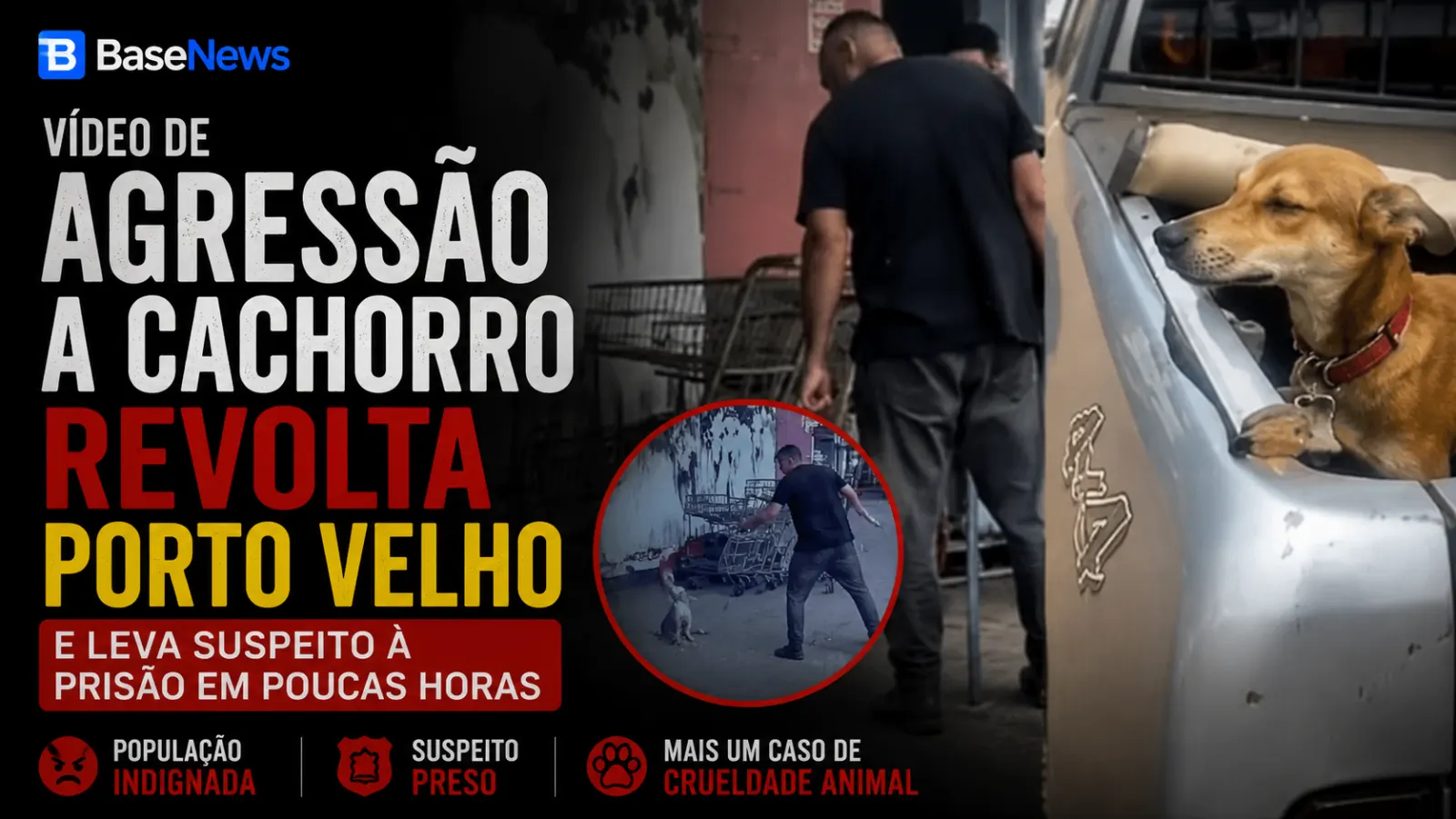 Vídeo de agressão a cachorro revolta Porto Velho e leva suspeito à prisão em poucas horas