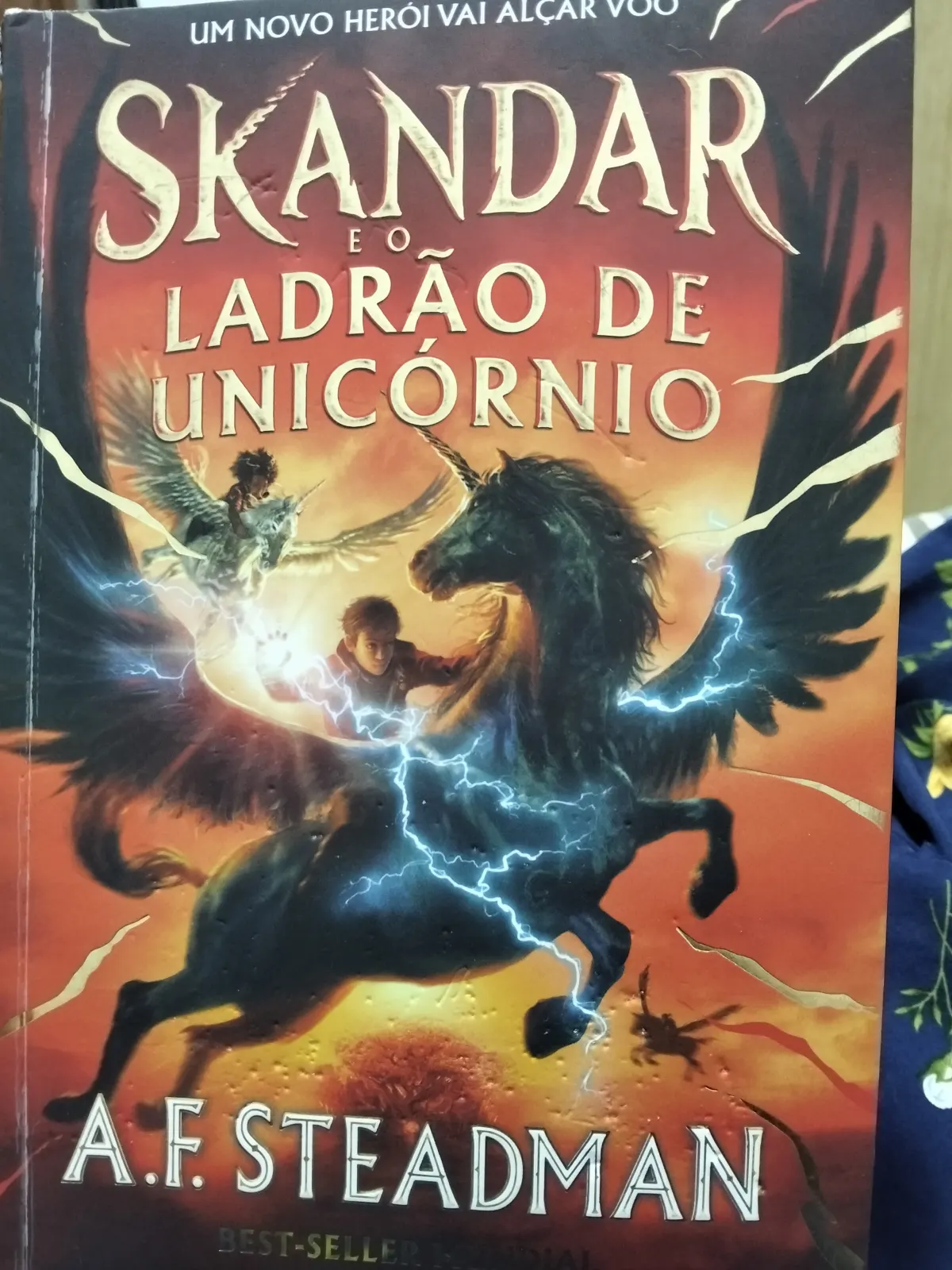 Skandar e o ladrão de unicórnio
