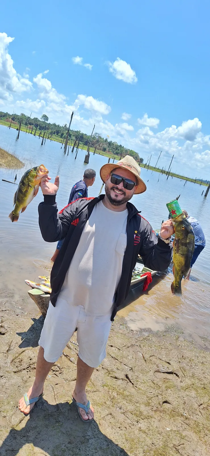 PROTRACKER RASTREAMENTO VEICULAR